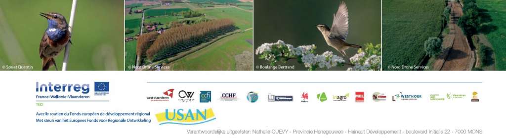 Logos-Sensibilisatievoormiddag over de Blauwborst en zijn habitat