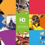 Hainaut Développement Rapport d’activités 2019
