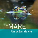 La mare un océan de vie