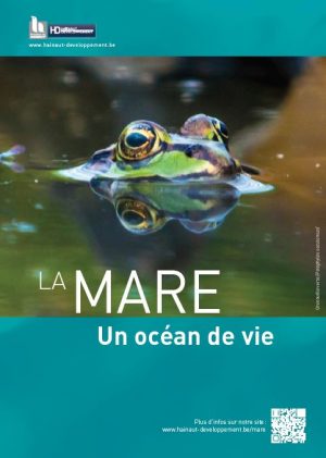 La mare un océan de vie