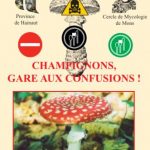 Champignons - Attention aux confusions