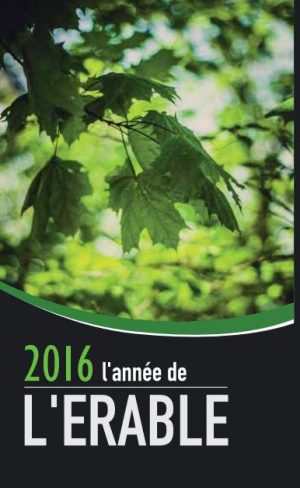 L'érable