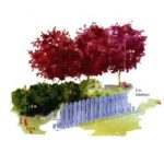 Les distances de plantation (fiche à télécharger)