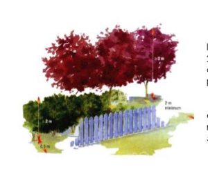 Les distances de plantation (fiche à télécharger)