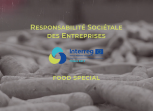 Responsabilité Sociétale des Entreprises