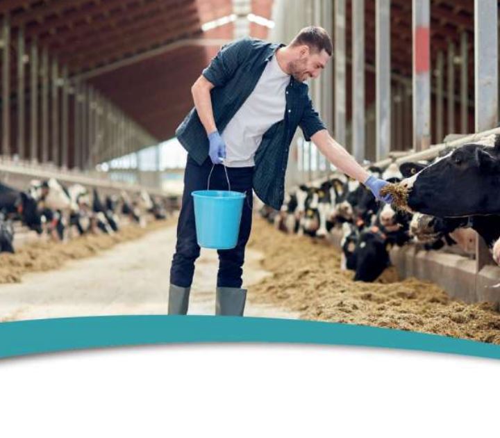 Bail à ferme : Maîtrisez la réforme pour sécuriser votre avenir.