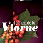 Couverture du dépliant « L'année de la viorne » : baies rouges et orange de viorne et feuille lobée sur fond pourpre