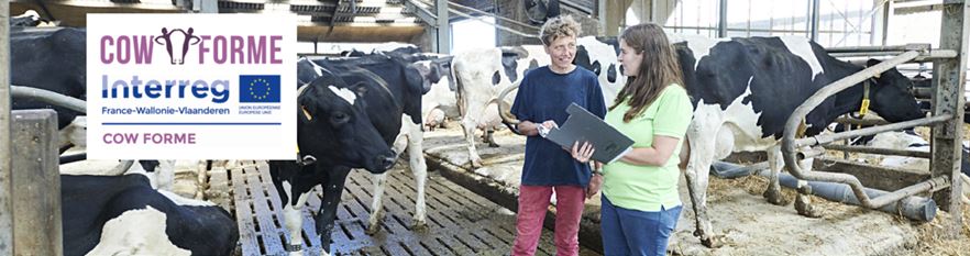 Rendez-vous en terre agricole - De la mise à l’emploi à l’amélioration des conditions de travail dans les exploitations bovines