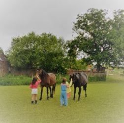 Rendez-vous en terre agricole - Visites familiales et "Dimanche des Minis"