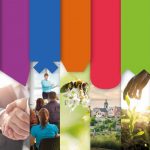 Rapport activités 2020 Hainaut Développement