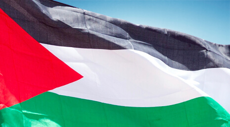 drapeau palestine