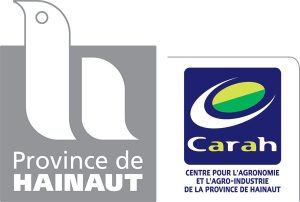 Logo Carah