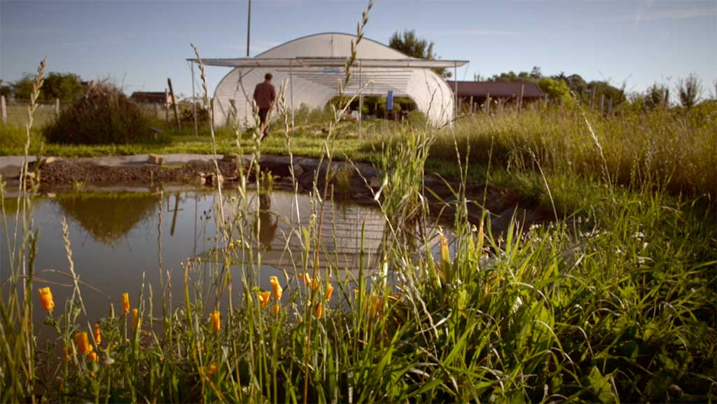 Visite libre de la Cense d’Hortésie, un écosystème cultivé en permaculture