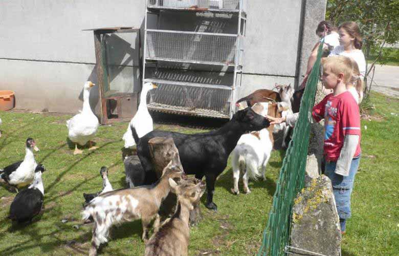 A la découverte des animaux de la ferme