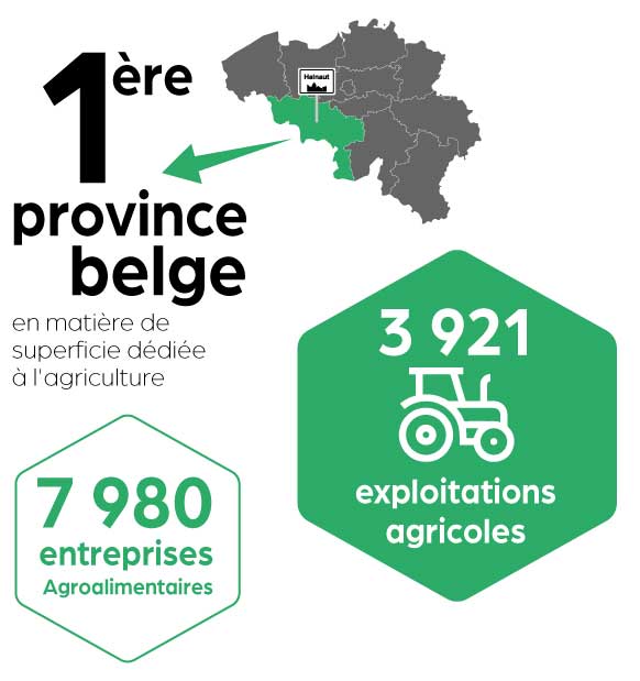 1ère province belge superficie agricole