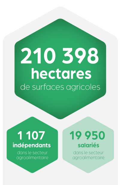 chiffres agricoles Hainaut