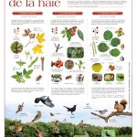 La Haie 2022