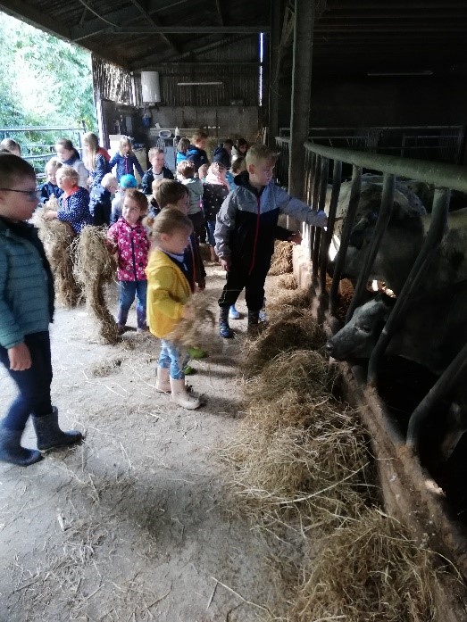 A la découverte des animaux de la ferme