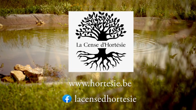 www.hortesie.be