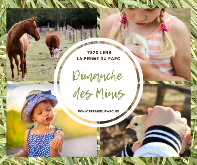 Les MINIS à la ferme