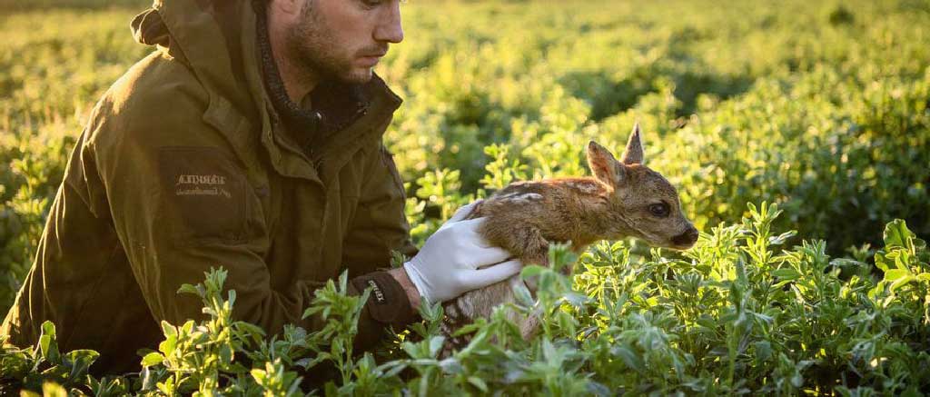 Sauvons Bambi