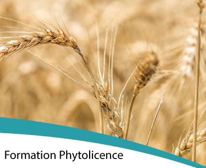 Formation Phytolicence