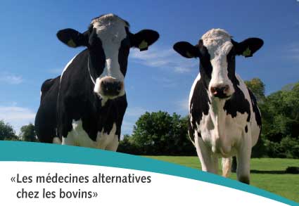 séance d’information sur "Les médecines alternatives chez les bovins"