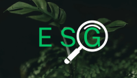 Gouvernance (G) : L’Art de Diriger avec Éthique et Transparence