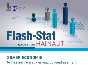 Flash Stat Hainaut : Silver Economie