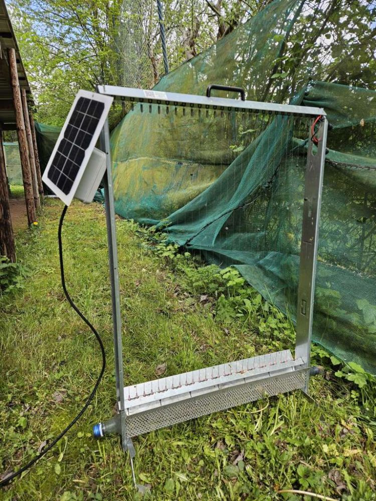 La harpe électrique pour protéger les ruchers contre le frelon asiatique