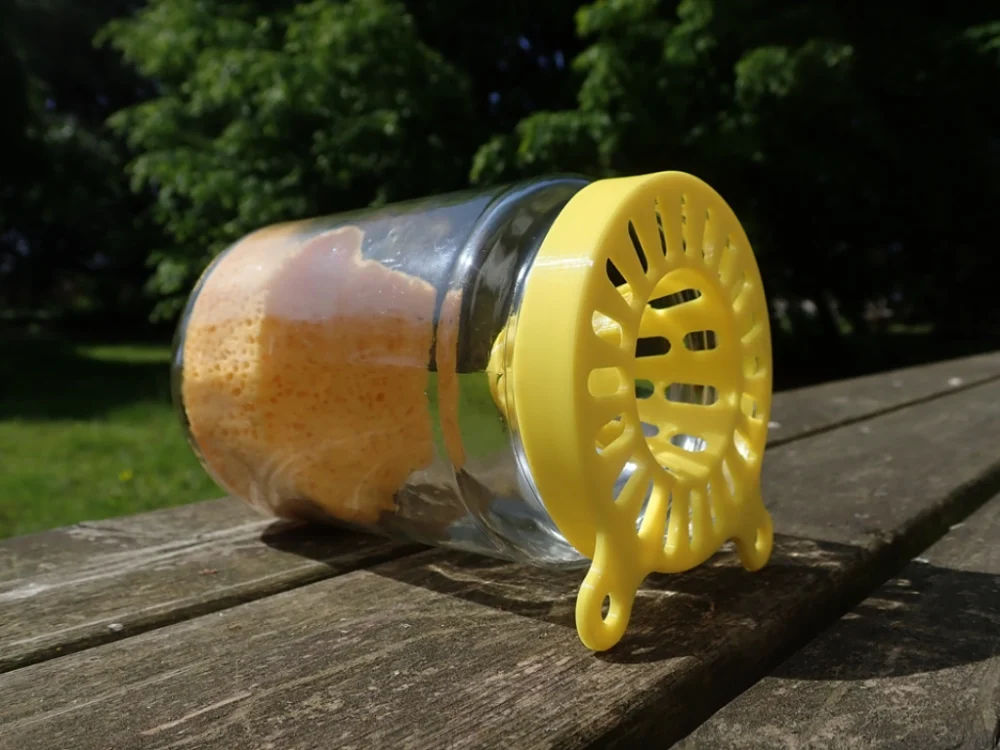 piège de printemps pour frelon asiatique