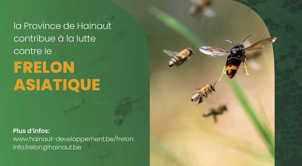 Journée d'étude sur le frelon asiatique