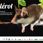 Couverture de la brochure Le lérot : conseils pratiques pour aider cet animal menacé de disparition