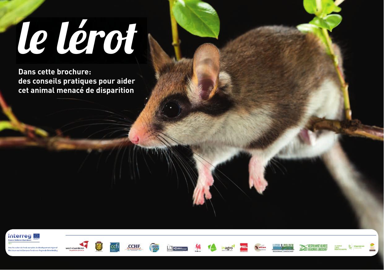 Couverture de la brochure Le lérot : conseils pratiques pour aider cet animal menacé de disparition